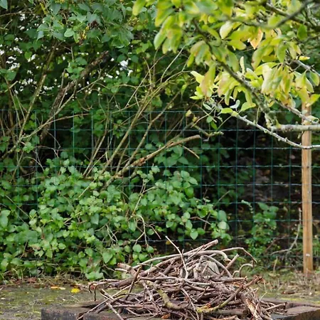 2702-romo-drosselvej-13 Hébergement de vacances